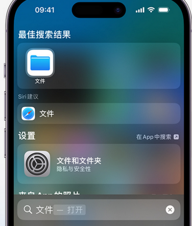 广南apple维修中心分享iPhone文件应用中存储和找到下载文件 