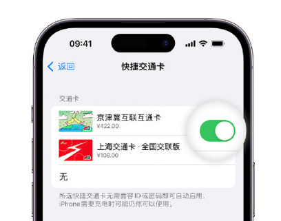 广南apple维修点分享iPhone上更换Apple Pay快捷交通卡手绘卡面 