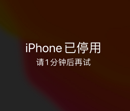 广南苹果手机维修分享:iPhone 显示“不可用”或“已停用”怎么办？还能保留数据吗？ 