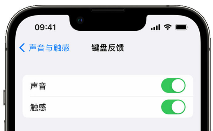 广南苹果手机维修分享iPhone 14触感键盘使用方法 