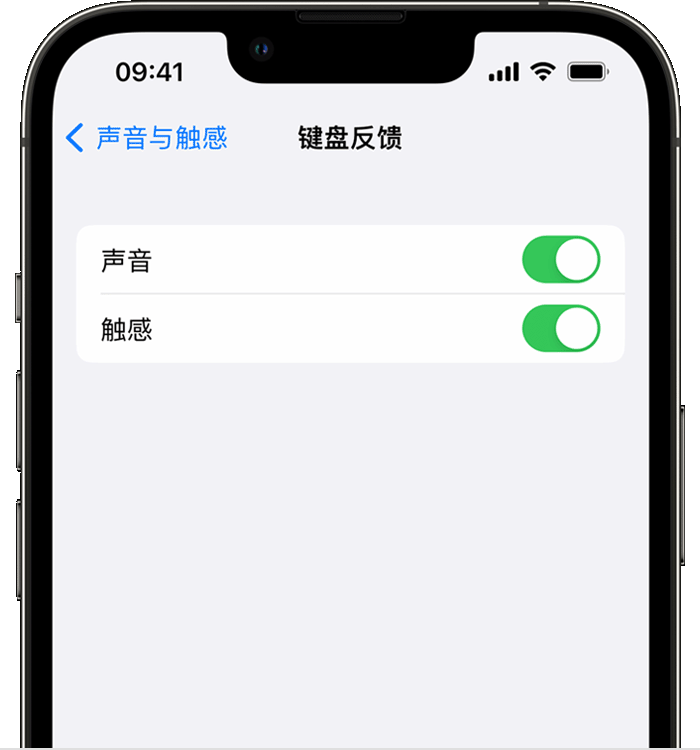 广南苹果14维修店分享如何在 iPhone 14 机型中使用触感键盘 