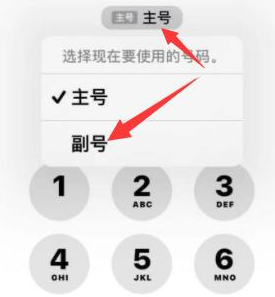 广南苹果14维修店分享iPhone 14 Pro Max使用副卡打电话的方法 