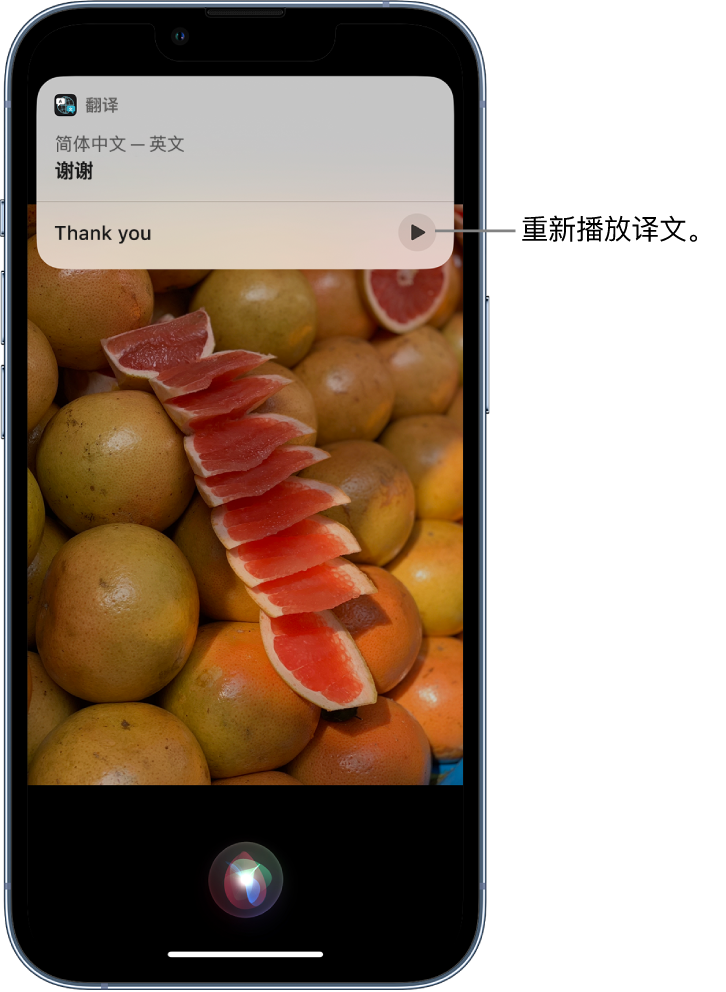 广南苹果14维修分享 iPhone 14 机型中使用 Siri：了解 Siri 能帮你做什么 