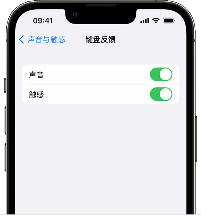 广南苹果14维修分享iPhone 14 系列机型如何开启键盘声音或触感反馈 