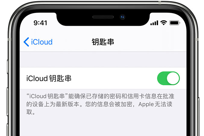 广南苹果手机维修分享在 iPhone 上开启 iCloud 钥匙串之后会储存哪些信息 