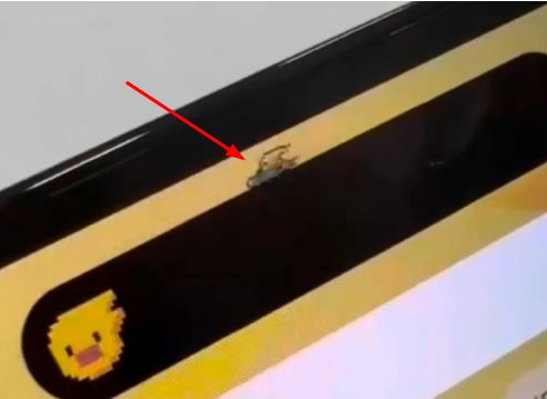 广南苹果14维修分享iPhone 14 Pro Max灵动岛怎么养宠物 