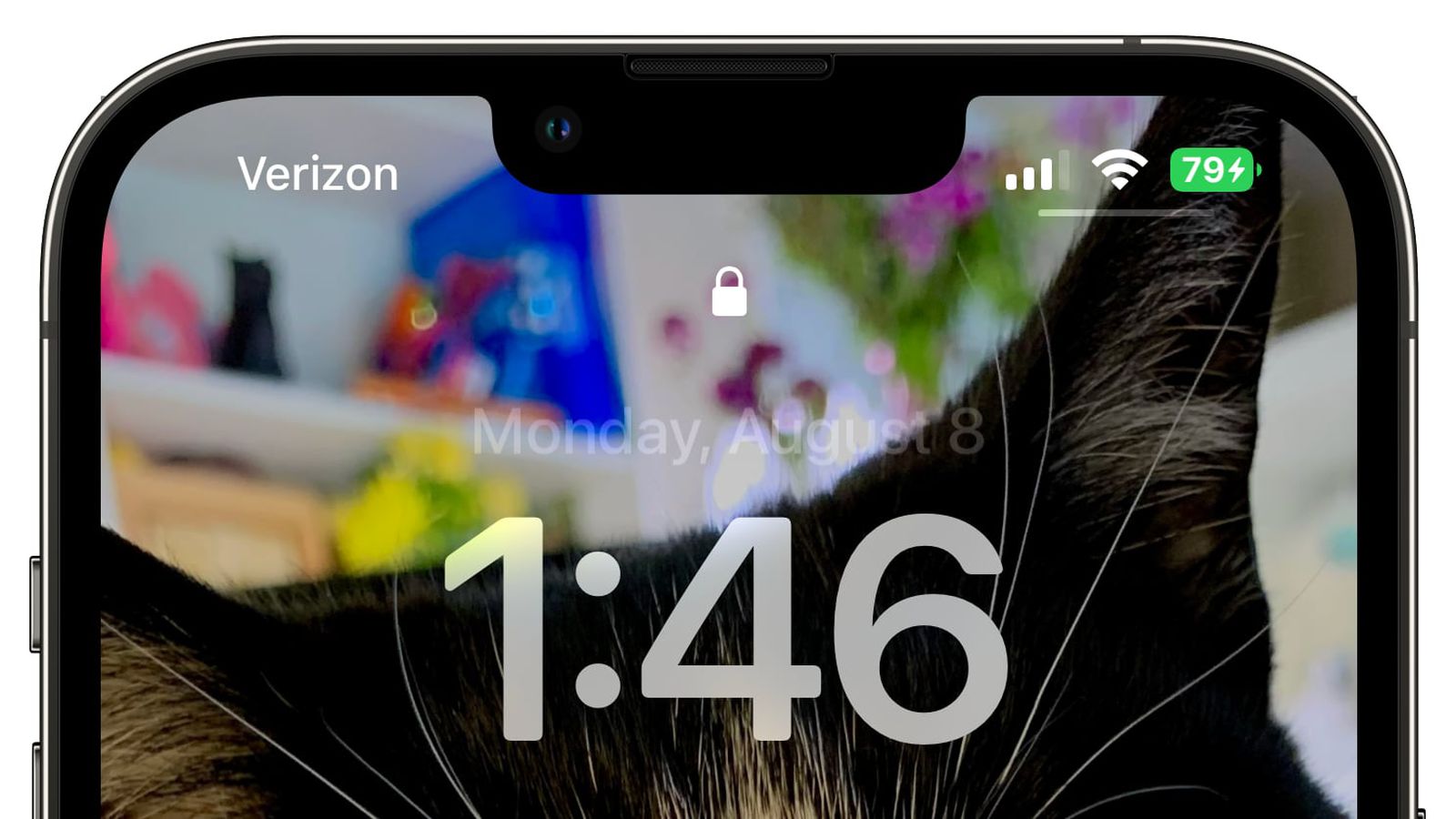 广南苹果手机维修分享iOS 16 beta 5 支持状态栏显示电池百分比，如何开启？支持哪些机型 