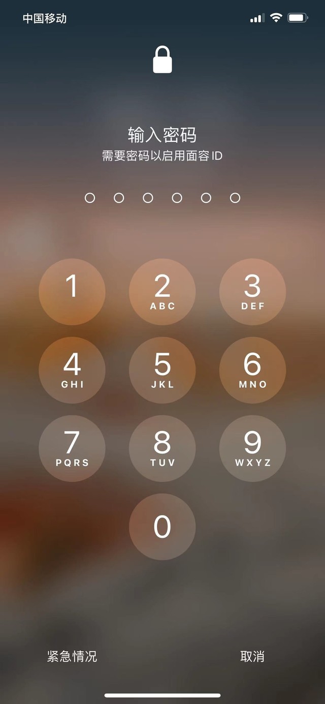 广南苹果13维修分享iPhone 13加强锁屏功能有什么用 