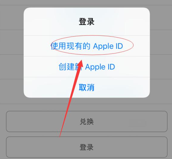 广南苹果手机维修分享两台iPhone设备可以同时登录一个Apple ID吗 