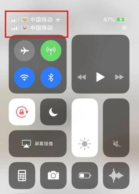 广南苹果手机维修分享为 iPhone 12 双卡设置标签 