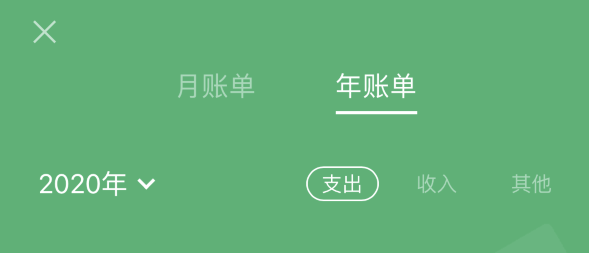广南苹果手机维修分享如何在 iPhone 上查看支付宝和微信年支出账单 